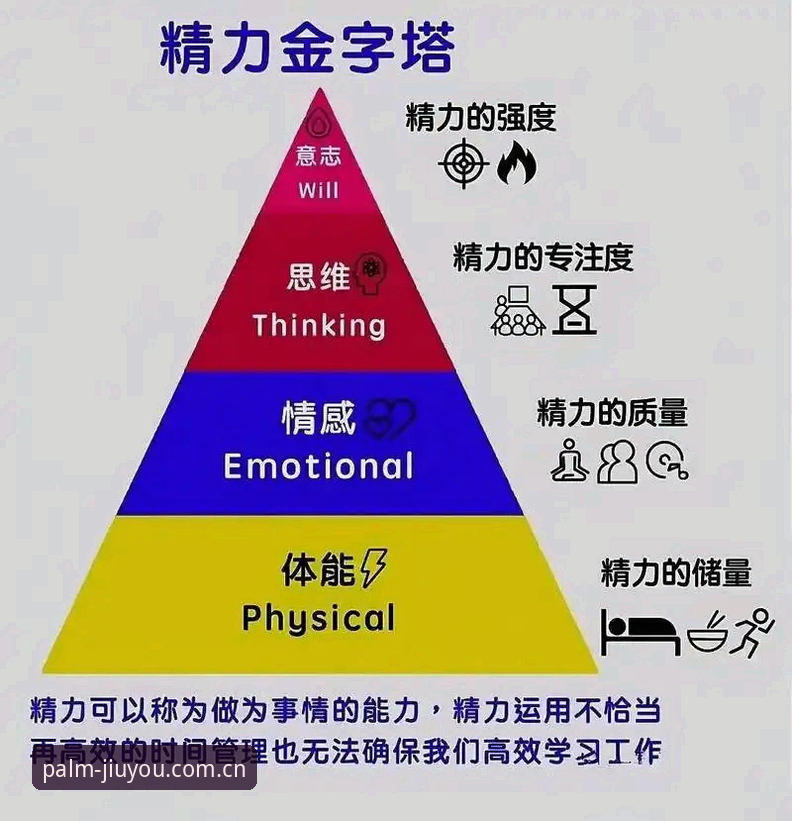 揭秘九游官网最新版登录推荐的三大真相：李涛的实测笔记